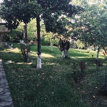 Erem * Sapanca